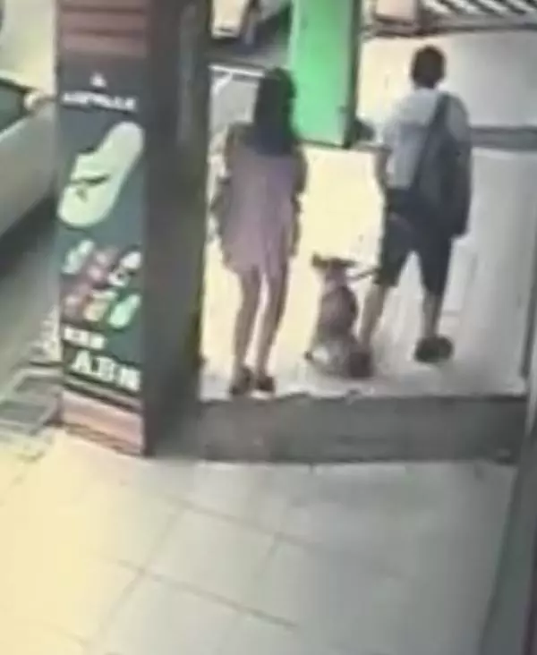 最壞示範!撿到1萬3現金皮夾 夫妻當孩子面暗槓
