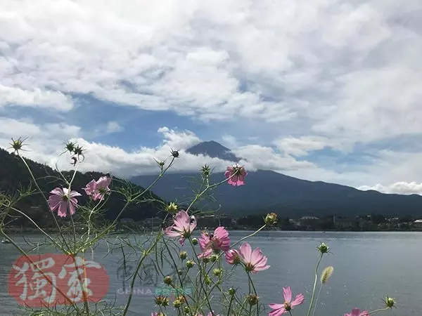 看見富士山 幸福了...