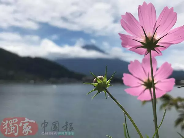 看見富士山 幸福了...