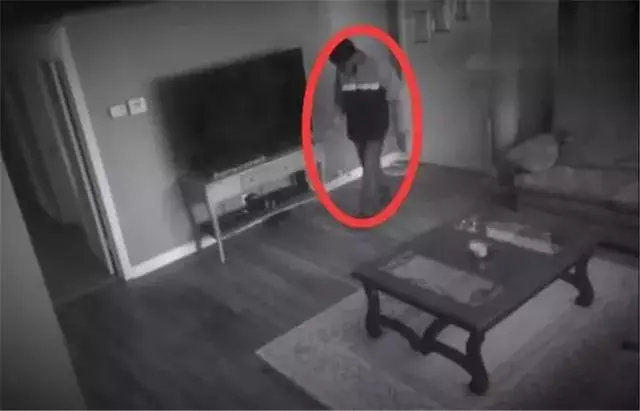 女主人被狗狗保護,鬥牛犬制服壞人救下主人,五種保護女生的萌犬