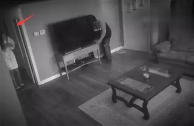 女主人被狗狗保護,鬥牛犬制服壞人救下主人,五種保護女生的萌犬