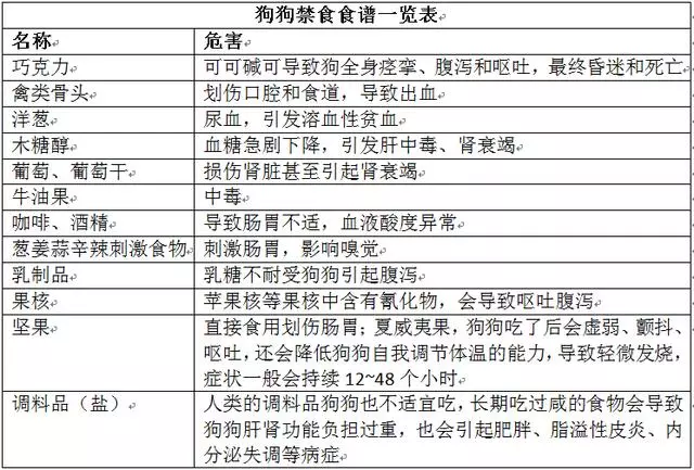 隨手扔的話梅,竟差點要了狗命,不注意飲食細節會害了你的狗