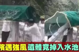 女子玩滑翔傘與人相撞,15公尺高空墜地死