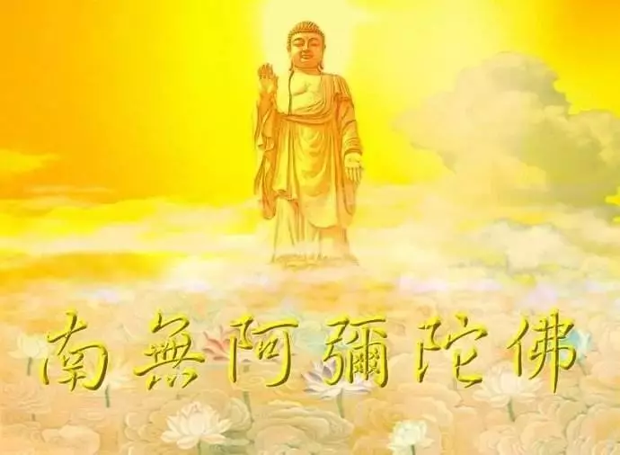 凈空老法師:念了半年、一年,眼前的果報都得到!