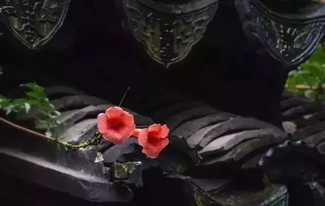 一個人,越是有本事,越要注意這三個習慣!