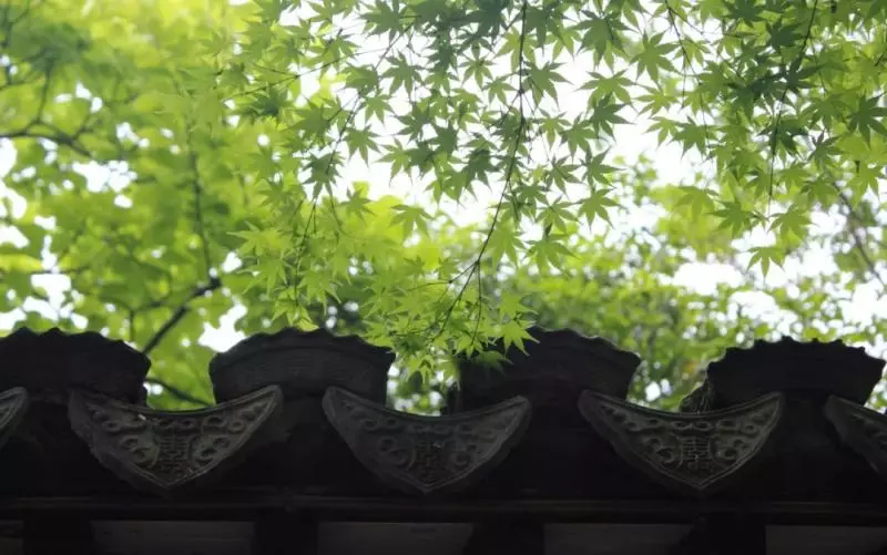 弘一法師:世間沒有不好的東西