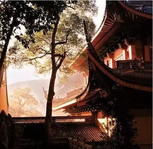 佛說:人生有度,過則為災