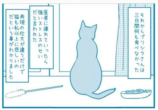 有洋蔥《貓的感情》常被誤解為冷酷的貓咪 或許比人類還重感情..