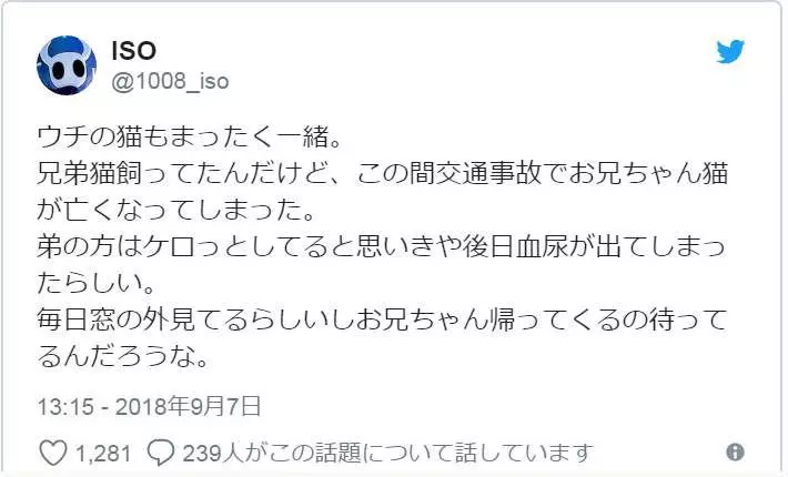 有洋蔥《貓的感情》常被誤解為冷酷的貓咪 或許比人類還重感情..