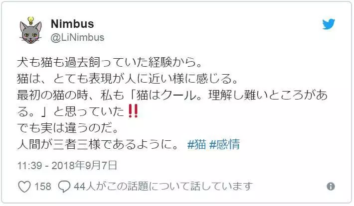 有洋蔥《貓的感情》常被誤解為冷酷的貓咪 或許比人類還重感情..