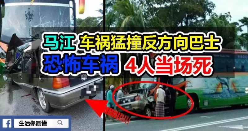 車猛撞反方向巴士恐怖車禍4人當場死