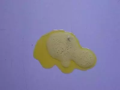狗狗嘔吐後主人不當回事導致病情惡化,觀察嘔吐物才能分析病因