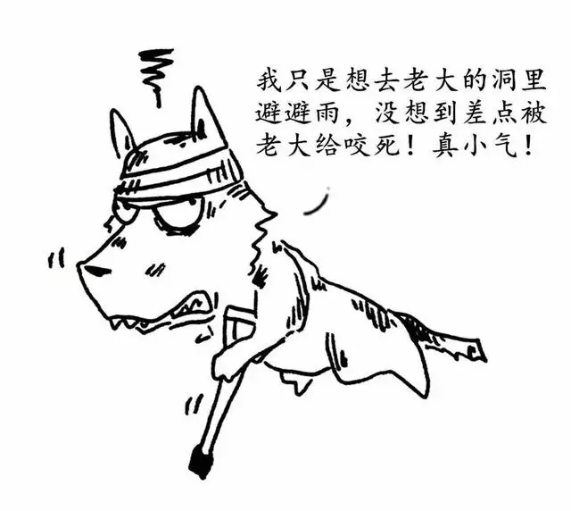 和寵物睡覺真的安全嗎?原來有這麼多地方需要注意