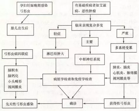 和寵物睡覺真的安全嗎?原來有這麼多地方需要注意