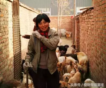 狗寶寶一直守著癱瘓的媽媽,不停流淚的模樣看著讓人心痛