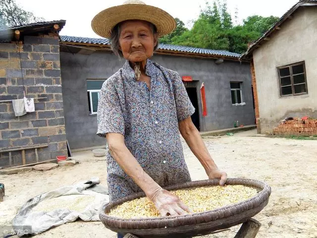 我接母親去城裡享福,母親卻要和農村弟弟一起,她臨終才說出原因