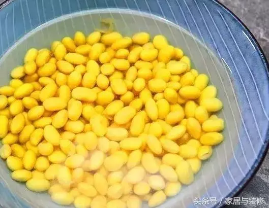 黃豆這樣做比花生米還要好吃:簡單易學,孩子零食和下酒菜必選!