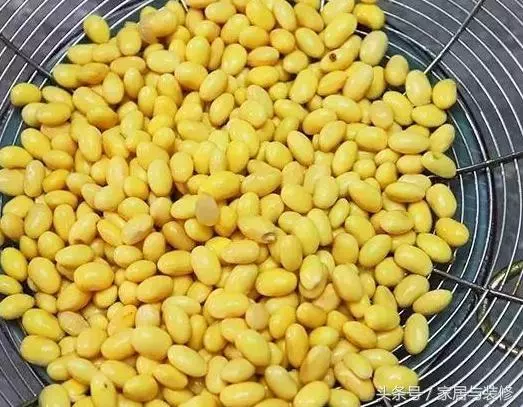 黃豆這樣做比花生米還要好吃:簡單易學,孩子零食和下酒菜必選!