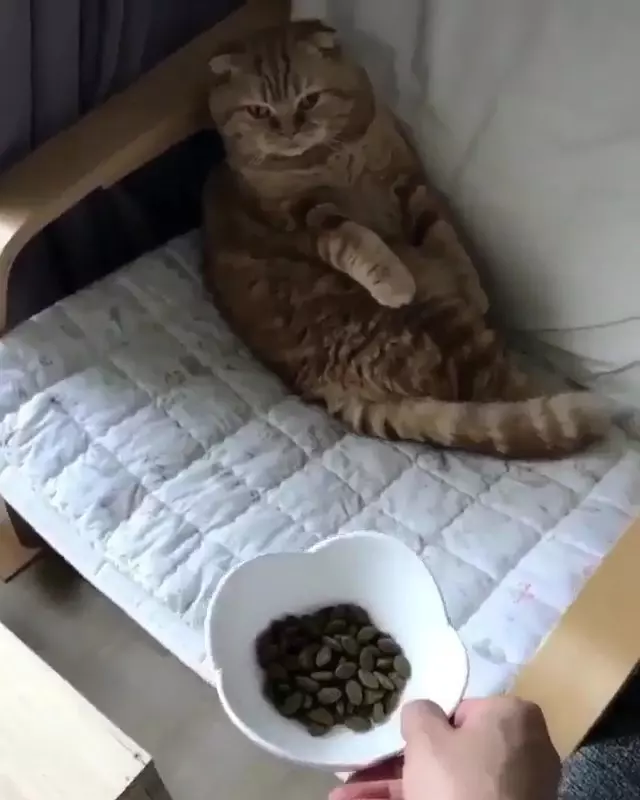 奴才送飯「朕94要你喂」!飯來張口網看呆:真的是皇帝命...