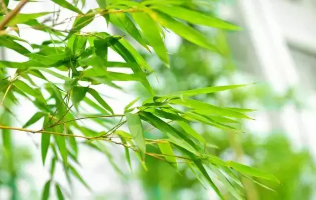 做人做事,敗於十忌,成於十悟