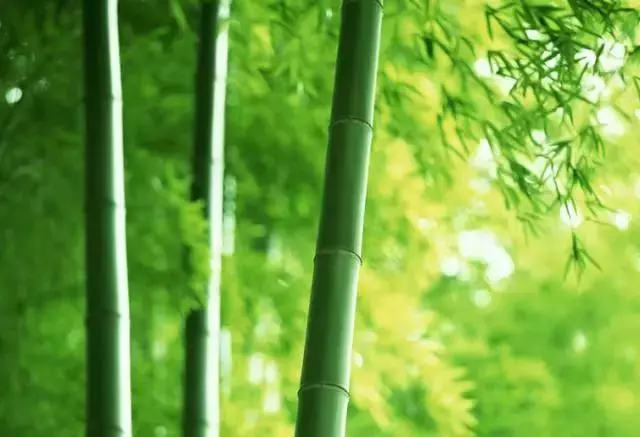 做人做事,敗於十忌,成於十悟