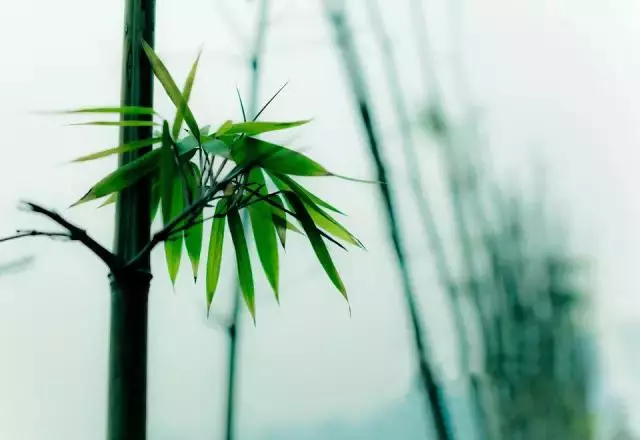 做人做事,敗於十忌,成於十悟