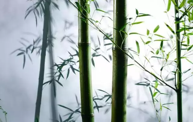 做人做事,敗於十忌,成於十悟