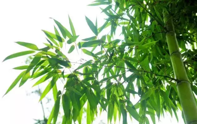 做人做事,敗於十忌,成於十悟