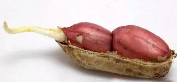 常吃花生防癌降血壓?這6類人吃了相當於「服毒」