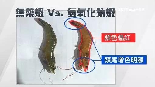 吃蝦要小心!添藥延命「殭屍蝦」 瞬間活跳跳增加賣相!