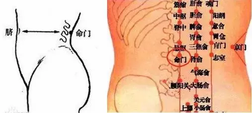 人體有神奇的五扇「門」,一個養心、一個養腎、一個助眠……