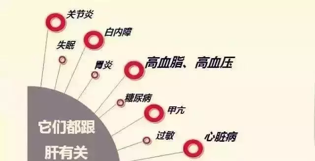 肝臟好不好,看中指根!