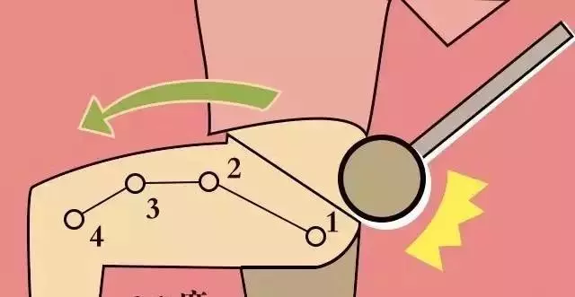 肝臟好不好,看中指根!