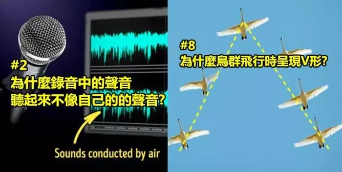 盤點19個「很多人都超好奇 但都懶惰谷歌」的超有趣問題!
