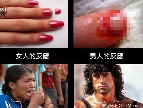 男女思維大不同,不只身體差異連腦袋結構都不一樣...