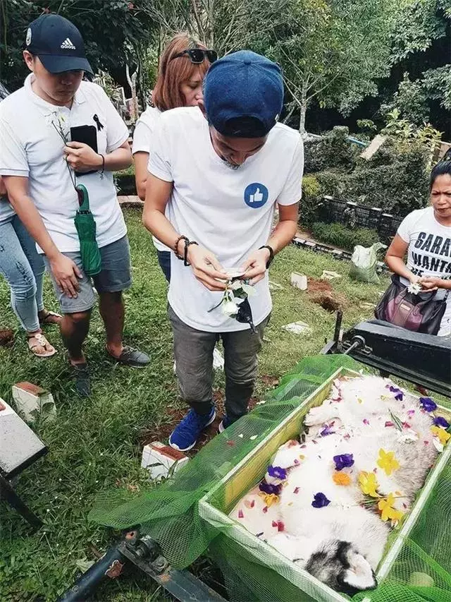 鏟屎官給阿拉斯加舉辦葬禮,入殮師給狗狗撒上鮮花,主人泣不成聲