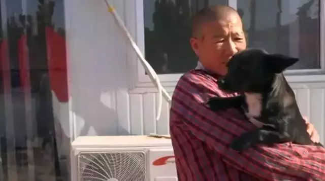 女法師自掏腰包辦護生園,救數百流浪動物,面對埋怨仍不改初衷