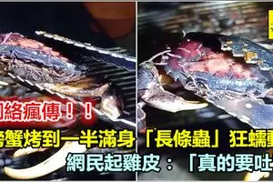 烤蟹冒出大量蟲蠕動網嚇傻:這輩子再也不吃了