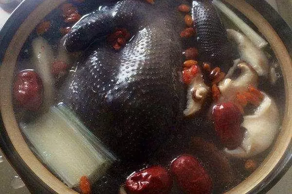 11種烏雞湯的做法,手腳冰涼就得喝一碗,滋補又好吃!