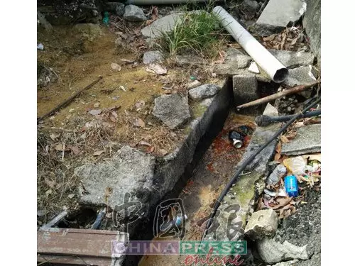 電飯鍋旁成堆鼠糞 這家食肆好噁心