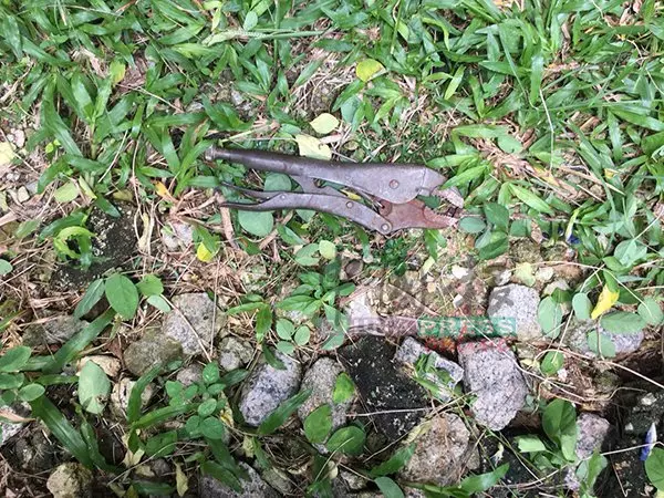 遮棚螺絲生鏽斷裂 華裔裝修工人直墜樓底