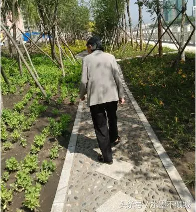 男人用輪椅推岳母散步,偶遇獨自一人的母親,男人的心不淡定了