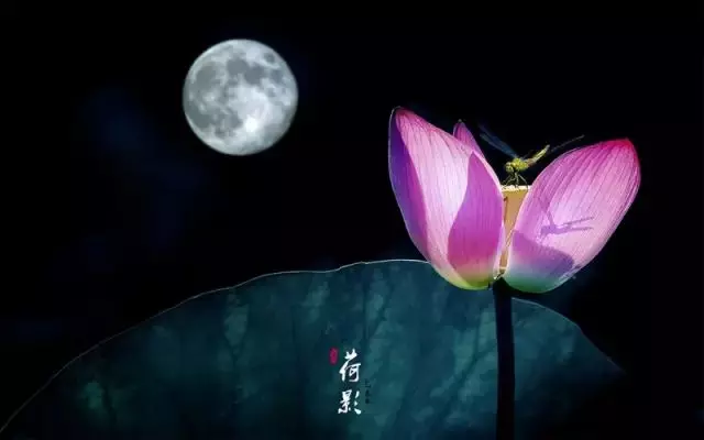 居士:請師父給我解兩個夢,為什麼總是夢到過世的親人?