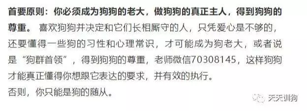 訓犬秘籍(一般人我不告訴他)