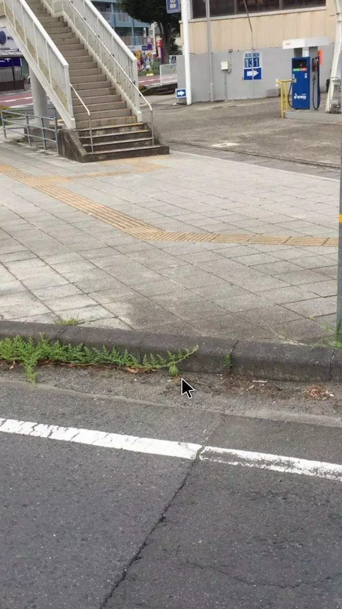 這張街景圖裡「有一顆西瓜」全球網友找到脫窗!一公布答案....所有人跪著喊:「真的是西瓜!」 -