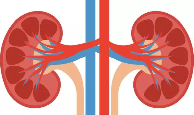 這種水果,竟可能是「腎臟殺手」!
