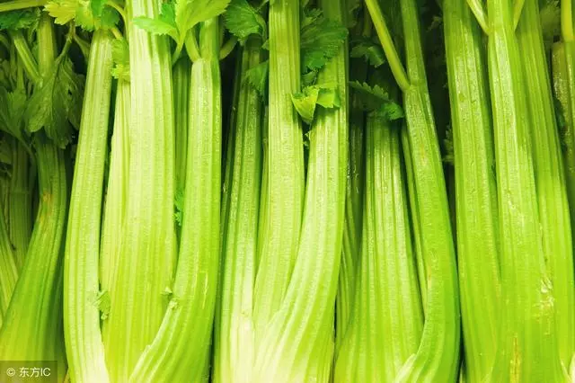 秋季易傷肺,常吃這4種食物,不僅能養肺還能抗擊肺癌