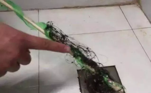 礦泉水瓶不要扔了!剪幾下套在衣架上 解決了家家戶戶的大難題 -