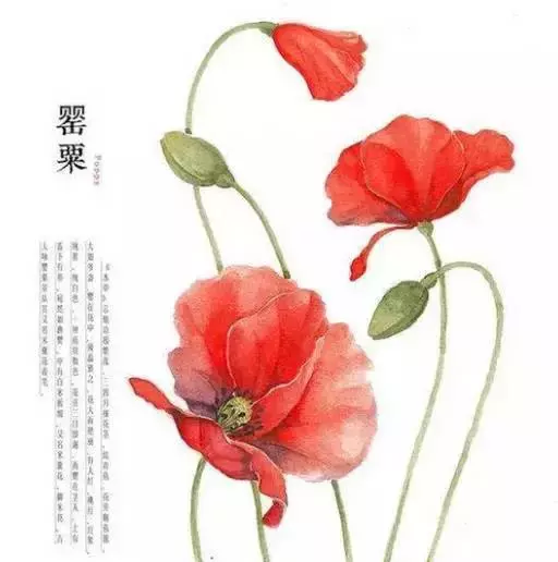 佛說:順其自然是最好的活法