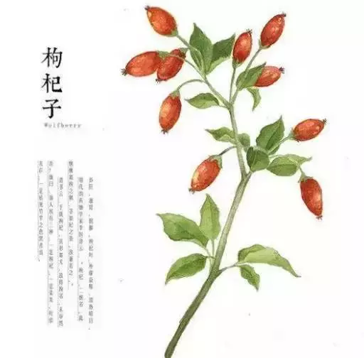 佛說:順其自然是最好的活法